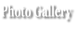 Photo Gallery